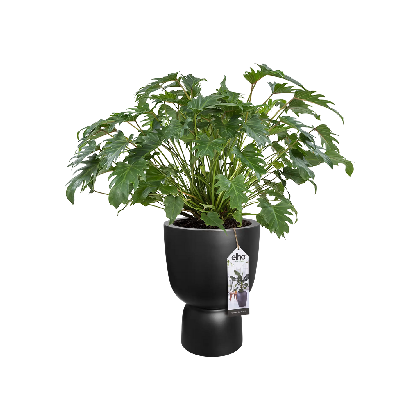 POT ELHO PURE COUPE ZWART - D35 x H49 ''GEPRESENTEERD OP RTL4''