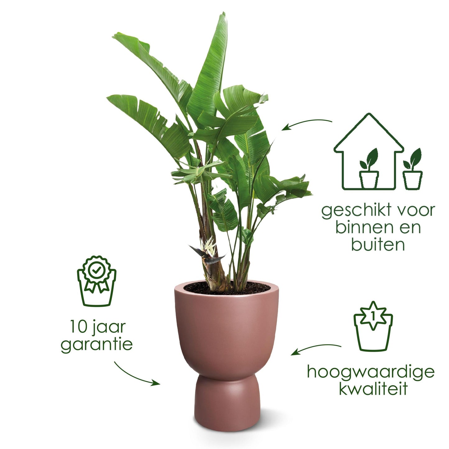 POT ELHO PURE COUPE  BEIGE - D35 x H49 ''GEPRESENTEERD OP RTL4''