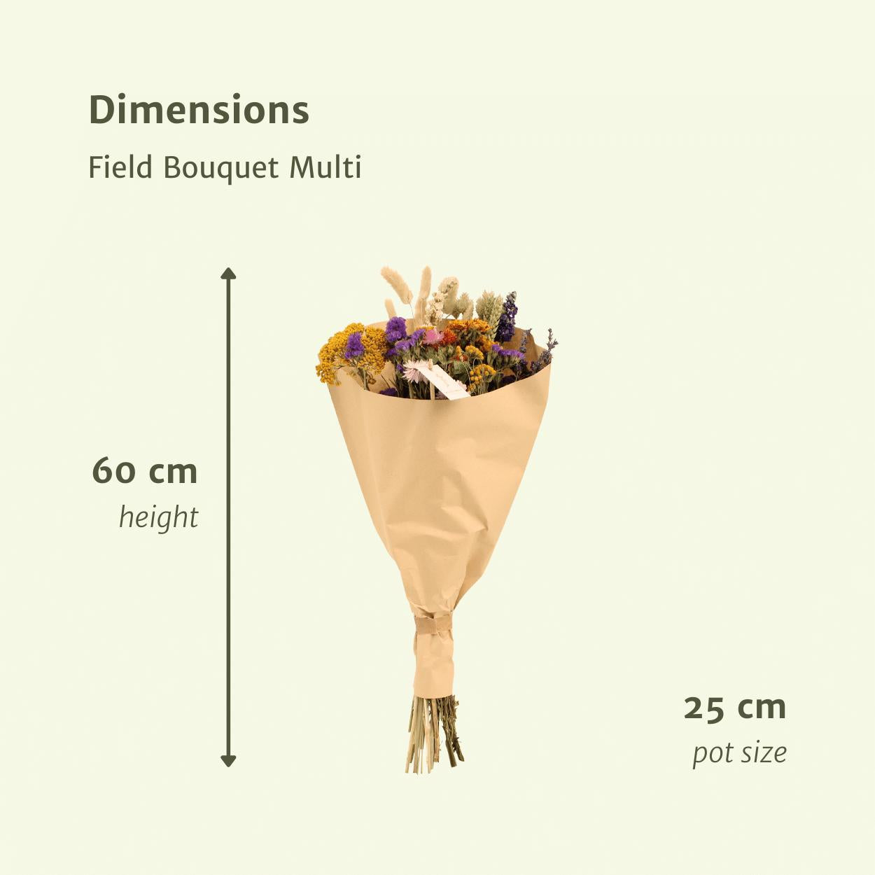 DROOGBLOEMEN FIELD BOUQUET MULTI - ROND 25CM - HOOGTE 60CM