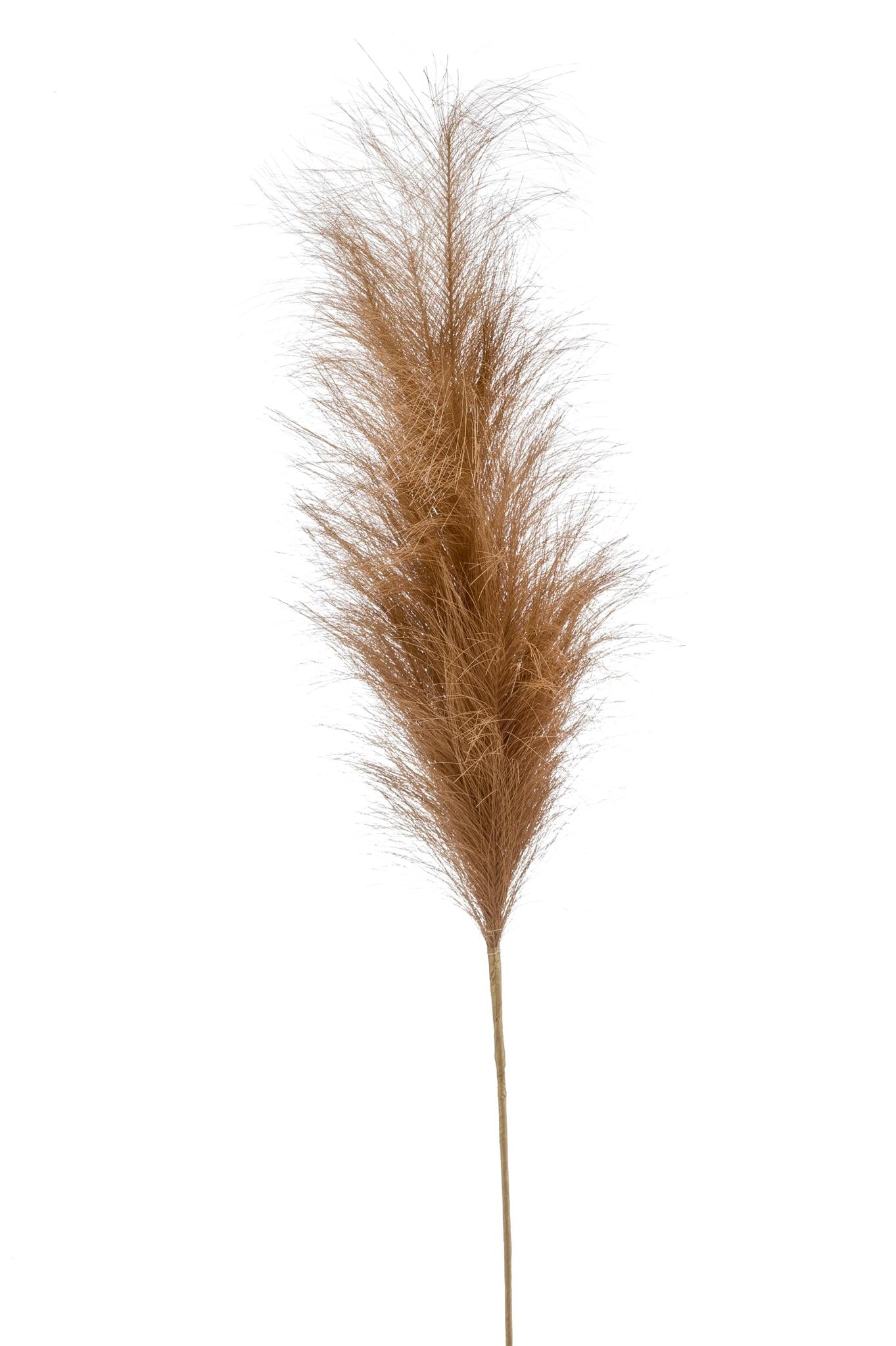 PAMPAS PLUIMEN KUNSTBLOEMEN SOLO - 6 TAKKEN - 115CM - BRUIN